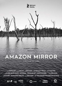 Amazon mirror