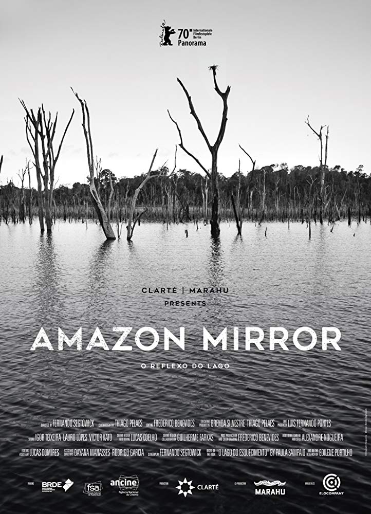 Amazon mirror